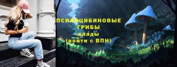 винт Нестеровская