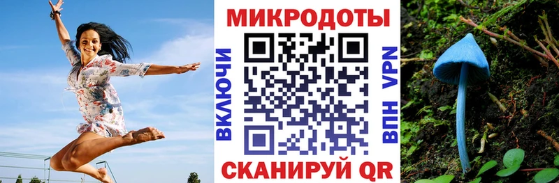 Псилоцибиновые грибы мухоморы  Купить закладки  Рассказово 